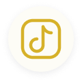 tiktok icon
